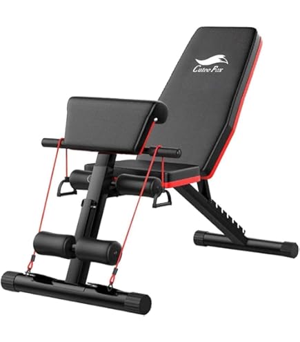 Amazon.co.jp: トレーニングベンチ インクラインベンチ デクライン