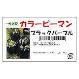 フタバ種苗 【一代交配】 カラーピーマン ブラックパープル 小袋詰(10粒) [カラー:ブラックパープル]
