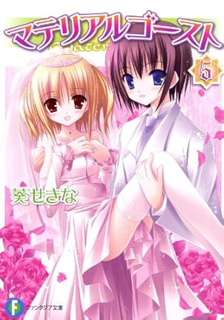 マテリアルゴースト5 (富士見ファンタジア文庫)