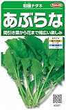 サカタのタネ 実咲野菜2871 あぶらな 和種ナタネ 00922871