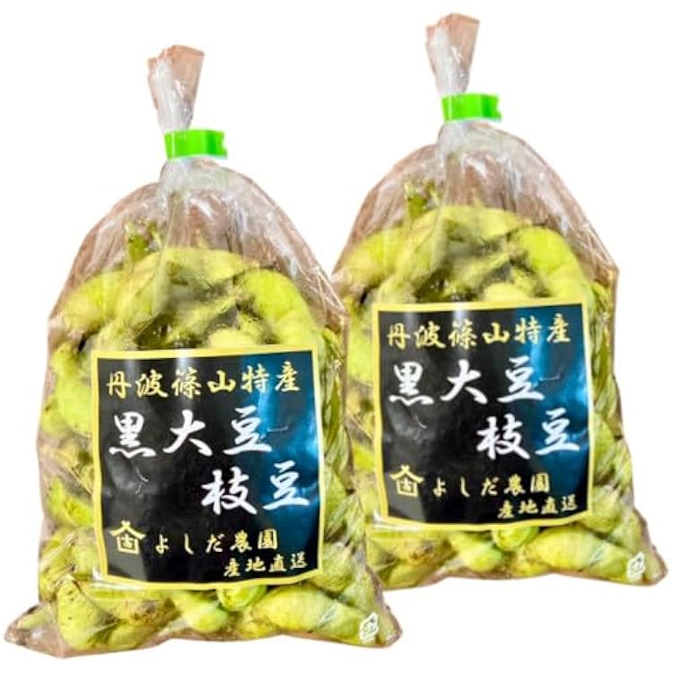 丹波篠山　黒枝豆　注文ページ 2025年 予約販売】丹波篠山産 黒枝豆（枝なしさや）250g ×1袋