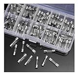 Homefunny 100個ガラスヒューズ 5mm x 20mm 10種類 各10個