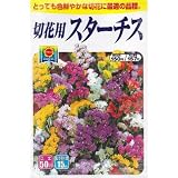 美色混合 スターチス (春、秋まき) (834)