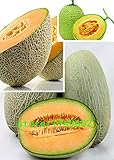 50pcsのスーパービッグスウィートハニーデューメロンの種子ハミメロンの種のフルーツ種子メロンジャンボメロン家宝多肉植物