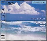 virtual trip THE BEACH HAWAII OAHU