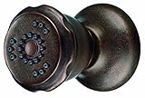 Danze D460165BR Two Function Wall Mount Body Spray, Tumbled Bronze [並行輸入品]