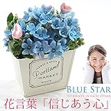 ブルースターのアレンジ 生花┃花言葉"信じあう心" 結婚祝い 結婚記念日 花