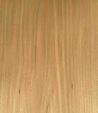 天然木化粧合板 ブナ【板目】 3mm 200mm×6尺 4枚入り<P>