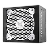 SUPERFLOWER LEADEX V PLATINUM PRO 1000W ブラック PC電源 「LEADEX V」シリーズ 80 PLUS PLATINUM認証 奥行き130mm フルモジュラー SUPER CONNECTOR 5年保証 ATX電源 LEADEX V P130X-1000 PRO-BK 日本正規代理店品