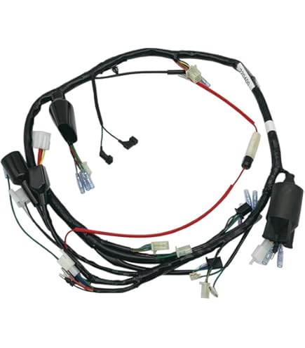 Amazon | C.F.POSH(シーエフポッシュ) メインハーネス 93/94 NSR50