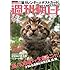 週刊朝日 2019年12月13日号