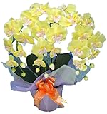 光触媒 枯れない胡蝶蘭 3本立 (造花) 黄
