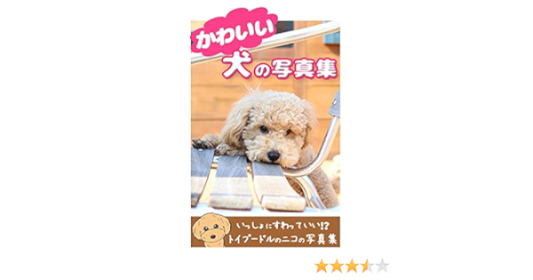 かわいい犬の写真集 トイプードルのニコ Aman 写真 Kindleストア Amazon