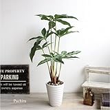 観葉植物 パキラ 44cm　造花 インテリア フェイクグリーン 消臭 CT触媒