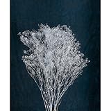 ~Coco Heart~　X'mas　プリザーブド　スーパーソフトミニカスミ草　シルバー　(プリザブドフラワー・リース）