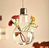 （アウコウ）Auko花瓶 一輪挿し 驚き の 電球 -1pc (2穴)