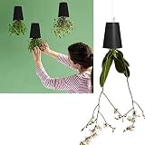 スカイプランター植木鉢を逆さまにぶら下がっている鍋植物