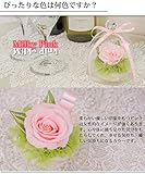 プリザーブドフラワー ミニドーム 4カラー (ピンク)