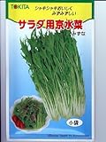 サラダ用京水菜　トキタのミズナ種です