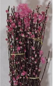 Amazon 花木屋 桃の花 約1m 束 5本入り 5束 切り花 オンライン通販
