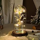 造花 ガラスドーム Lewondr 枯れない花 メッキローズ バレンタイン 飾り 長持ち LEDライト付き 部屋飾り インテリア 引越しバラ