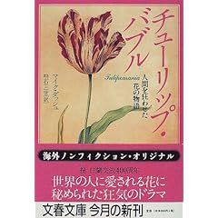 チューリップ・バブル―人間を狂わせた花の物語 チューリップ・バブル―人間を狂わせた花の物語