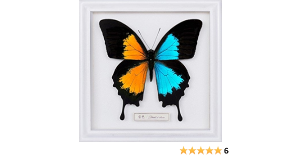 Amazon 音色 Break It Down 初回生産限定盤 Dvd付 Flow J Pop ミュージック