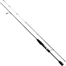 2本セット　アジングロッド　グローリーフィッシュプラス　ネオス Amazon | グローリーフィッシュプラス (GLORYFISH PLUS) ネオス