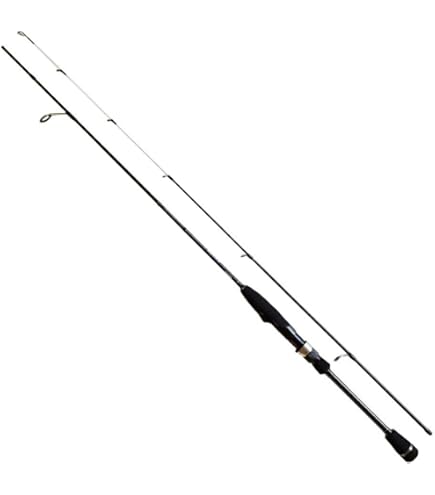 2本セット　アジングロッド　グローリーフィッシュプラス　ネオス Amazon | グローリーフィッシュプラス (GLORYFISH PLUS) ネオス