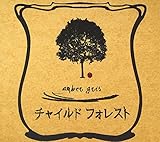 �`���C���h�E�t�H���X�g