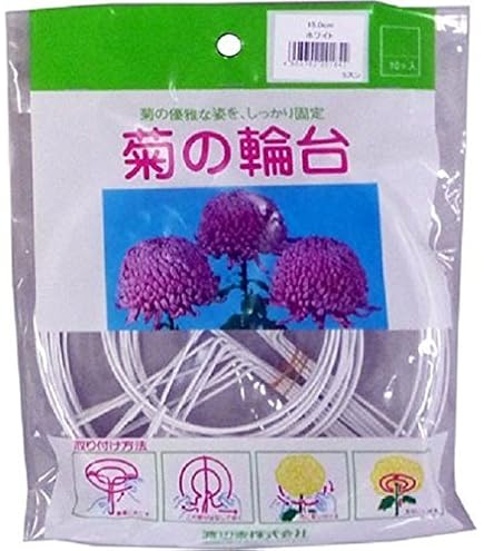 渡辺菊　NＴ-153 千葉県 寒菊銘醸/寒菊 True White 純米大吟醸 無濾過生原酒
