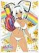 キャラクタースリーブ 閃乱カグラ PEACH BEACH SPLASH 夕焼 (EN-566)