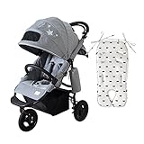 10mois(ディモワ) 10mois×AirBuggy COCO(ブレーキモデル) 18151016