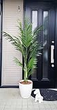 【人工観葉植物】【フェイクグリーン】【触媒加工】【時間指定不可】bb-3