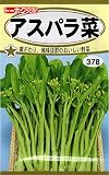 トーホク アスパラ菜 野菜の種 4ml