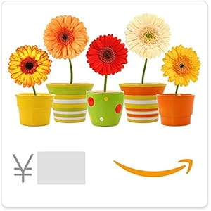 Amazonギフト券(Eメールタイプ) テキストメッセージにも送信可