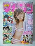 週刊少年マガジン　2011年2月2日　No.8