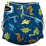 Imagine Baby Products Rayon From Bamboo All-In-One Snap Diaper, Rawr by Imagine Baby Products
