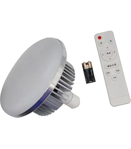 Amazon.co.jp: 岩崎電気 写真照明用アイランプ デイライトカラー用