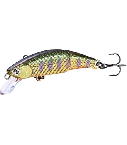 Amazon.co.jp: ダイワ(DAIWA) 渓流ミノー SCミノーJ 50S TS : スポーツ