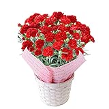 花由 母の日限定 レッド カーネーション ５号鉢 in バスケット カゴ・ラッピング付き