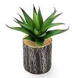 人工観葉植物 アロエ 壁に掛けるタイプ