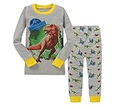 Gold treasure綿100%子供パジャマ長袖 キッズ 漫画のジュラ紀 ティラノサウルスレックス 寝間着2-7歳 (110cm(5歳))