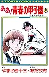 ああ！青春の甲子園（５） (フラワーコミックス)