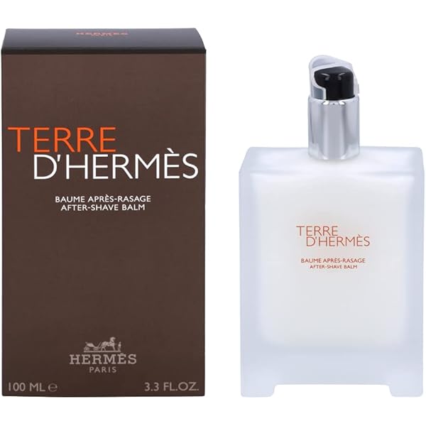 Hermes Terre D'Hermes Eau de Toilette Spray for Men 100 ml