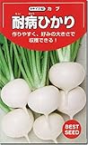 こかぶ種子・耐病ひかり （4ml）