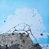 �{���[�h�E���u�EVol.1