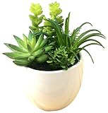 光触媒 多肉植物 観葉植物 インテリアグリーン 造花 MP-103