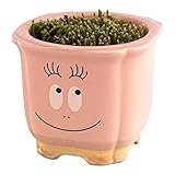 聖新陶芸 バーバーパパ 苔盆栽