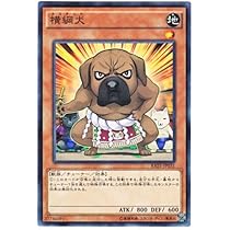 よこちゅな 511iMwzXm1L._AC_UL210_SR210,